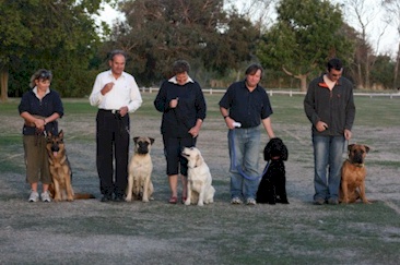 Click here to view our Obedience Photo Gallery